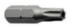 Resistorx Antidiefstal Bit