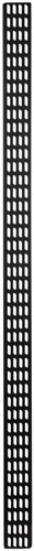 42U vertical cable tray - 30 cm