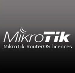 Cloud Hosted Router P10 license